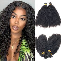 Afro Kinky Curly I tip Extensions de cheveux Couleur noire naturelle Microlinks Extension de cheveux itip pré-collée 100g