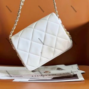 10a Luxury Mini 17cm Chain Sac Sac concepteur sac à main sac à main de haute qualité designers de sacs à bandoulière