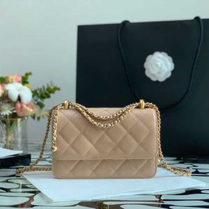 10A Miroir qualité Classique En Peau De Mouton Rabat Sac Designer Femmes Chaînes Cross Body Sacs Luxuries Designers Couverture Sacs À Bandoulière Avec Boîte C075