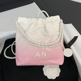 10A Top Quality Designer Mini 22bag 23cm Sac à bandoulière en cuir authentique Lady Sac à main avec boîte C000