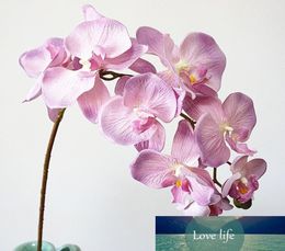 10 têtes grandes fleurs d'orchidées artificielles Style rétro européen orchidées papillon maison décoration de fête de mariage fausse soie Flores9577081