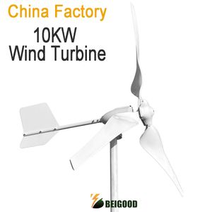 10 kW 12V 24V 48V 96V GÉNÉRATEUR DE TURBINE Énergie éolienne pour la ferme 10000W Alternateur électrique Horizontal Wind Moulin