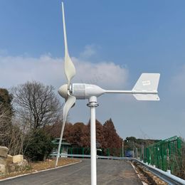 10 kW 48V windturbine met rooster Tie -omvormer 10000W windgenerator met hybride MPPT -controller vrije energie windmolen voor thuisgebruik