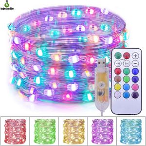 10M 20M 100LED 200LED RGB luces de cadena de hadas Control remoto USB LED alambre de cobre Pixel para fiesta de Navidad