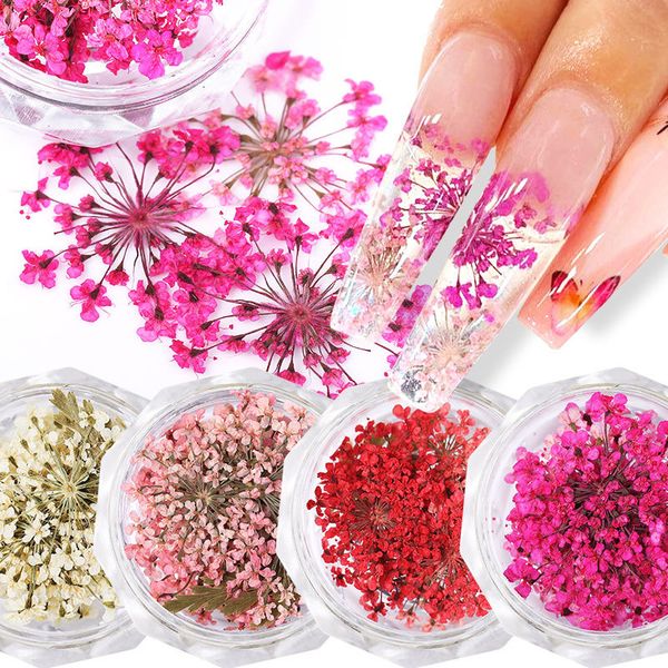 Ensemble de bijoux à fleurs séchées 3D, 10 pièces, décorations pour ongles, fleurs naturelles, breloques, fournitures pour ongles, accessoires professionnels