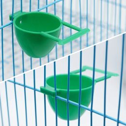 10pcs oiseau perroquet Fruit Fruit Egg Container Cage Hanging Pet Anifing Supplies Feed Box 100% neuf et de haute qualité