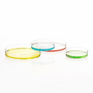 1 paquet/5 pièces fournitures de laboratoire plat 90mm borosilicate verre Petri plat pour laboratoire chimique bactéries levure Culture tissulaire