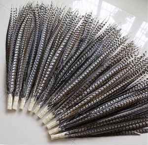 20 pièces plumes de faisan Amher naturelles originales de haute qualité 4 - 44 pouces / 10 - 110 cm plumes de faisan décorées bricolage