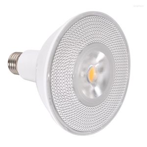 10 pièces Led COB Projecteur 38 Ampoule 30 20 85-265V 9w 15w 18w E27 Dimmable Éclairage Spot Lampe Lumière