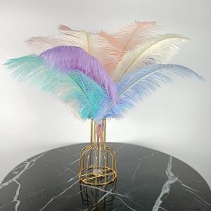 10pcs / lot Plumes d'autruche colorées pour vêtements Artisanat DIY PLUME PLUME DÉCOR DE CÉLAISE DE TABLE DE TABLE