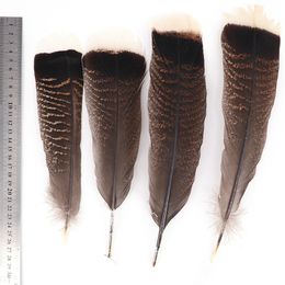 10pcs / lot Natural Eagle Birds Décor de plumes 25-30 cm plumes de dinde pour l'artisanat des accessoires de carnaval plumas décoration de mariage