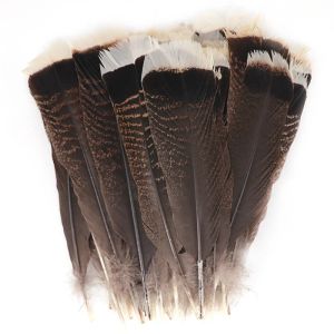 10pcs / lot Natural Eagle Birds Décor de plumes