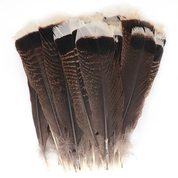 10pcs / lot Natural Eagle Birds Décor de plumes