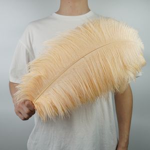 10pcs / lot Nouveaux plumes autrurises colorées