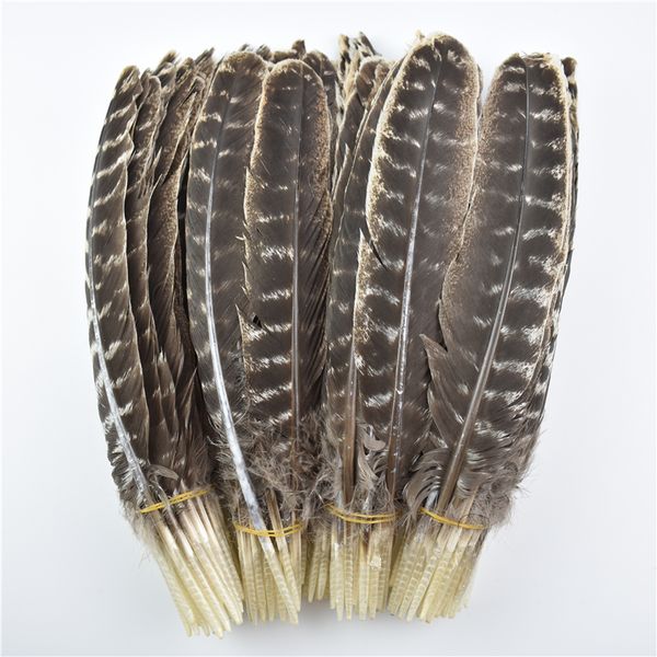 10pcs / lot Real Natural Turkey Feather Eagle Bird Feathers for Crafts Doy Decor Carnaval panaches accessoires de mariage décoration