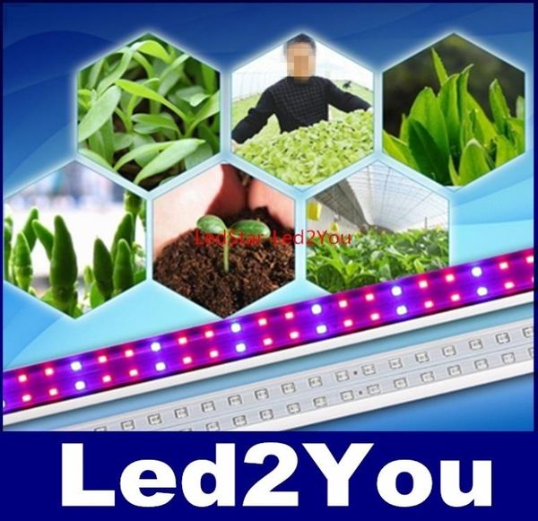 10 Uds lote T8 tubo lámpara de cultivo 14W 18W 28W 37W 2ft 3ft 4ft 5ft T8 RedBlue luz Led para cultivo de plantas AC 110240V4595266