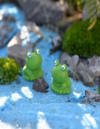 10st mini blauwe ogen kikker terrarium beeldjes sprookjestuin miniaturen miniaturas para mini jardins hars ambachtelijke bonsai home decor6409960