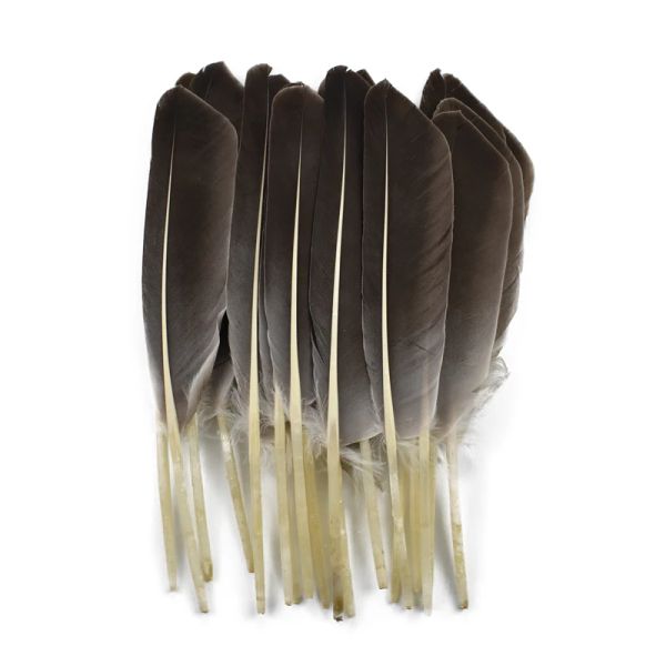 10pcs plumes de dinde naturelle Duck Wing Feator Decor Crafts Big Plumes Eagle Negywork Carnival Accessoires de mariage Décoration de mariage