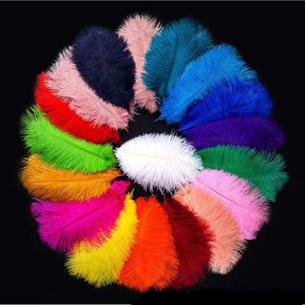 10pcs Plumas de avestruz para joyas que hacen plumas DIY DIES CABADOR DE CABADAS SUMINADORES DE CARAJE DE CARJE