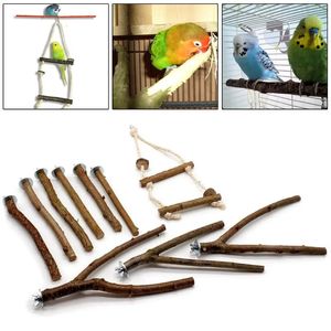 10pcs perroquet support tige jouets fourchette en bois branche perche cage à oiseaux suspendu balançoire animal à mâcher jouet fournitures de terrain de jeu C42 231225