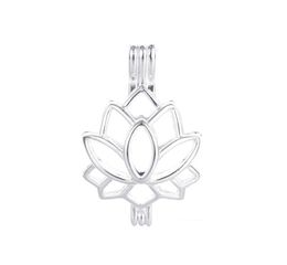 Collier de cage de perle 10pcs Vertettes de pendentif à l'huile essentielle Le diffuseur Lotus fournit de l'argent argenté et votre propre perle le fait 2749632