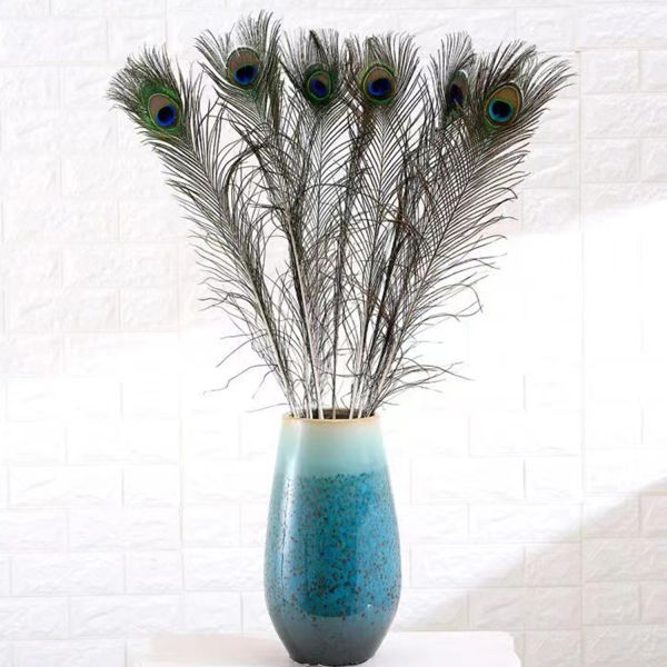 10pcs / set Beautiful de plume naturel Pluat Craft Art Art Green Peacock Eye Feathers for Home Party Decoration