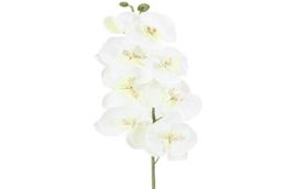 10PCSlot Lifely Artificial Butterfly Orchid Flower Silk Phalaenopsis Wedding Home Diy Decoration Fake Flowers 1464 V21706438