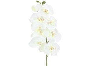 10 Stukslot Levensechte Kunstmatige Vlinder Orchidee Zijde Phalaenopsis Bruiloft Thuis DIY Decoratie Nep Bloemen 1464 V28493797