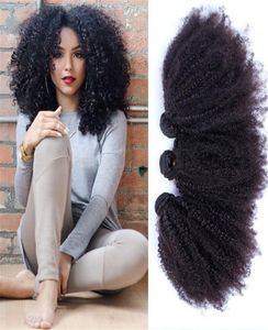 10quot30quot 3pcs Lot Peruaanse Afro kinky krullend haar Weef Natuurlijke kleur Peruaanse mensenhaarextensies Afro kinky krullend haar5057033