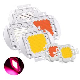 10W 20W 30W 50W 70W 80W 100W COB LED -chip Integrated Spotlight Diy Street Flood Lights Sunlight Full Spectrum Plant Grow Light 380 Nm - 840 Nm LED Light Module Crestech888