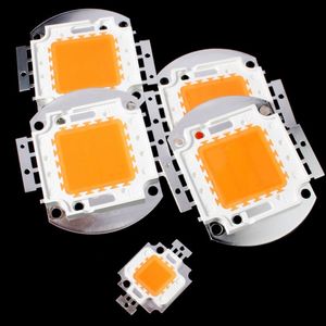 10W 20W 30W 50W 70W 80W 100W COB Led Chip Geïntegreerde Spotlight DIY Street Flood Light 6500K 4000K 3000K voor DIY Bloemen Groeiende Lamp Zaailingen Indoor Crestech168