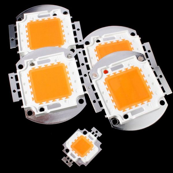 10W 20W 30W 50W 70W 80W 100W COB Puce Led Projecteur Intégré DIY Rue Projecteur 6500K 4000K 3000K pour DIY Fleurs Croissance Lampe Semis Intérieur Crestech