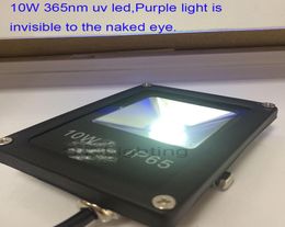 10W 20W 30W 50W LED UV 365 nm Ultraviolet LED extérieur imperméable