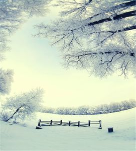 10x10ft hiver neige scénique photographie décors arbres forestiers nouvel an vacances noël Photo Studio stand arrière-plans vinyle