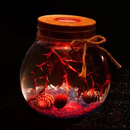 Jar en verre rond 11 / 12cm Globe en verre terrarium avec lumière LED colorée Micro Paysage de la bouteille écologique des lumières nocturnes