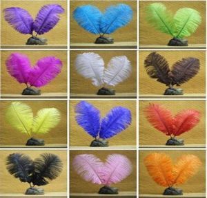 11 colores Blanco Negro Plumas de avestruz Plumas Joyería de bricolaje Plumas de avestruz esponjosas Adorno para fiesta de boda Decoración de boa 100 piezas 68quot 1598466460029