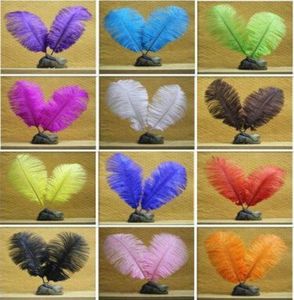 11 kleuren Wit Zwart Struisvogelveren Pluimen DIY Sieraden Pluizige Struisvogelveren Bruiloft Versiering Boa Decor 100 stuks 68quot 1598469761229