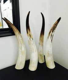 11 Ornements de corne authentique naturels simples corne unique de corne simple d'Afrique plus de 40cm60cm9839766