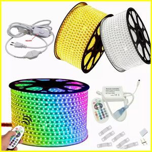 110 V 220 V DIMBARE LED STRIPS 10M 50M 100 M Hoogspanning SMD 5050 RGB LED Strips Waterdichte + IR Afstandsbediening + Voeding Kerstverlichting