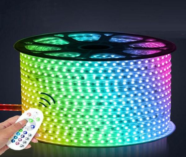 Tira de LED de 110V 220V 5050 50m 100m IP67 impermeable RGB iluminación de cuerda de doble color para exteriores con control remoto RF por DHL8899823