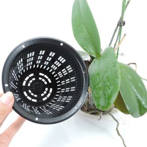 11cm 14cm Orquídea negra blanca de malla transparente taza de maceta de maceta canasta de macetas de macetas plástico contenedor transpirable agujeros colgantes