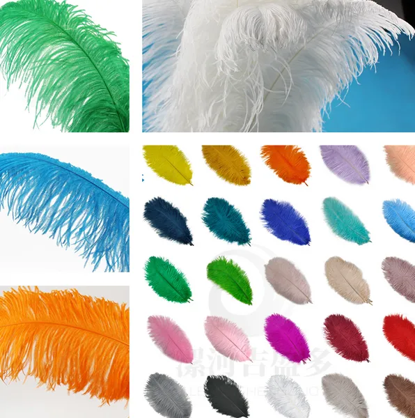 12-14 '' 30-35 cm Fournisseur de plumes multi-couleurs Dyed Autruche Plumes décoratives plumes bon marché pour le costume de fête de mariage 2471