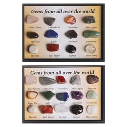 12 / 15pcs 1 boîte spécimen minéral naturel cadeau Gemystones bruts échantillons à collectionner