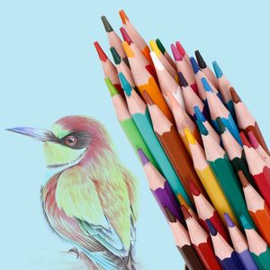 12/18/24/36/48 couleurs Bois Crayon Artiste Crayons Set Plomb Peinture Stylo Enfants Dessin Croquis Papeterie Enfants Étudiants École Saison Peinture Outils Cadeau 0298