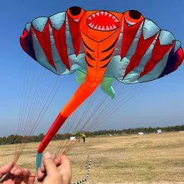 12,5m 3d Ray Soft Kite 9 Air gonflable grand animal plage professionnel Kite Easy to Fly.