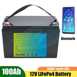 12.8V 100AH ​​LIFEPO4 -batterij met 100A BMS met Bluetooth Fuction 12V -batterij voor Cart Ups Home Appliance Inverter