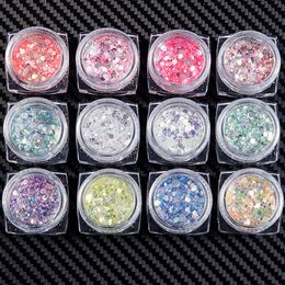 12 kleuren Nail Art Glitter Pailletten Poeder Paillette AB Hexagon Ronde Flakes Manicure Decoratie UV Gel Polish 3D Tips DIY Tools