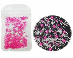 12 couleurs autocollants décalouflans nail art décorations salon santé beauté 2g / sac 3d fleur bijoux mixte