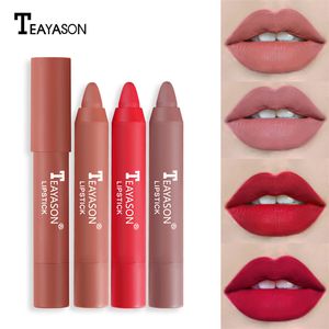 Lápiz labial mate de terciopelo de 12 colores, cosméticos, resistente al agua, de larga duración, color carne, bálsamo labial no pegajoso, tinte labial marrón duradero