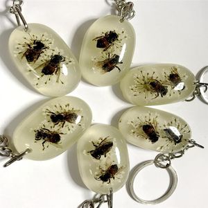 12 pcs yqtdmy Spécimens Résine Acrylique Intégré Abeille Porte-clés Nouvelle Mode Crafts210i